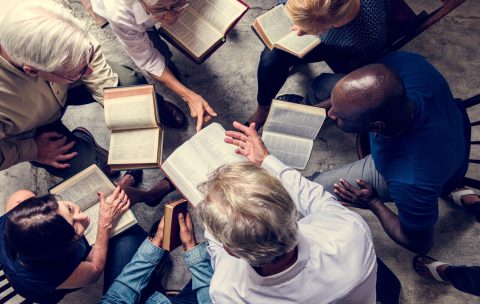 Diverse religious shoot